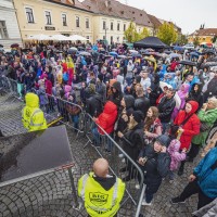 VALTICKÉ VINOBRANÍ 