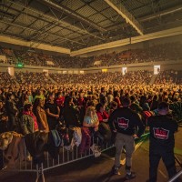 MICHAL DAVID, BRITTERM TOUR HALY