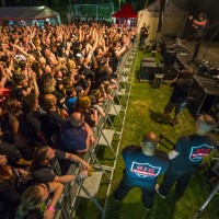 FERBY FEST 